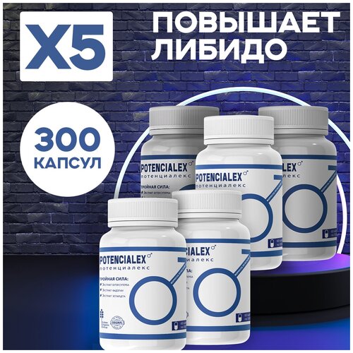 ���� ������� ����������� ������ ��������, ������ ������