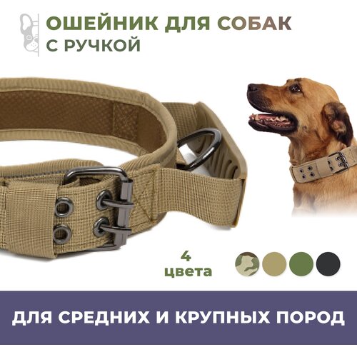 ���� ������� ��� ����� ������� � ������� ����� ����������� � ������ / ��������� / ������ XL, ������ ������