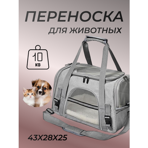 ���� ����� ��������� ��� ����� � �����, ������ ������