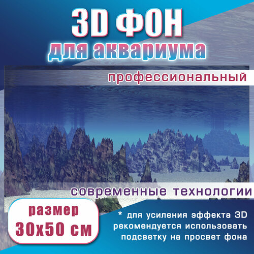 ���� 3� ��� ��� ���������, ������ ������