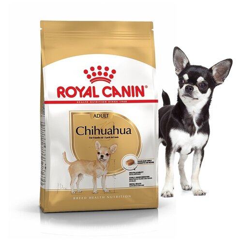         Royal Canin Chihuahua Adult  8  1,5 .   -     , -,   