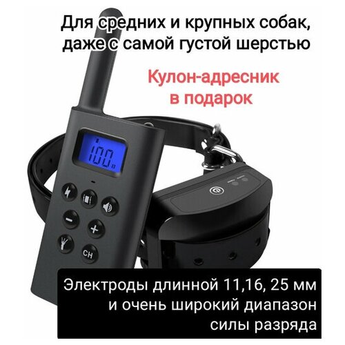 ���� ������� ��� ����� L-168 + �����-��������, ������ ������