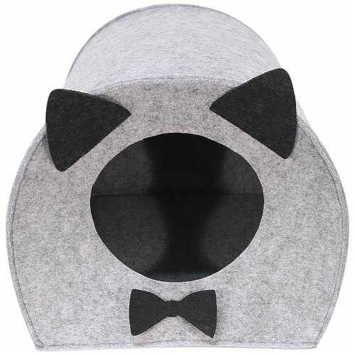 ���� ����� ��� �������� �� ������� 