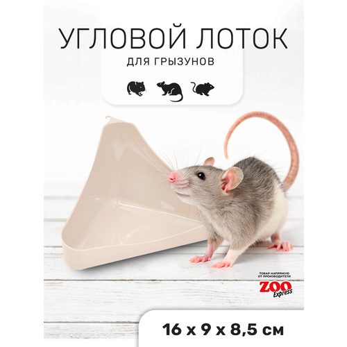 ���� Zooexpress ������ ����� ��� �������� ������� � ������ 16�9�8,5�� (�������), ������ ������