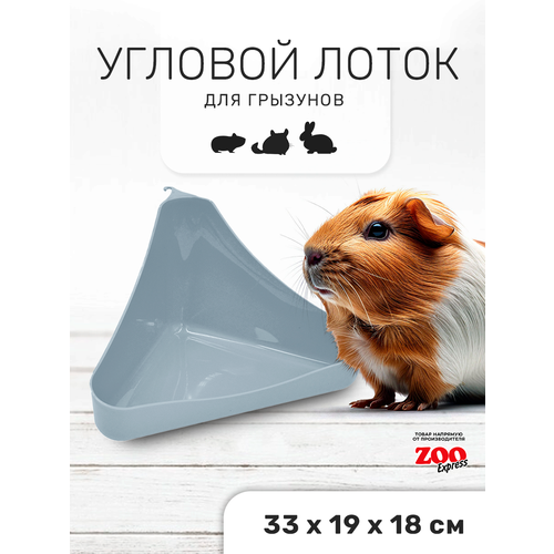 ���� Zooexpress ������ ����� ��� �������� ������� � ������ 33�19�18 �� (�����), ������ ������