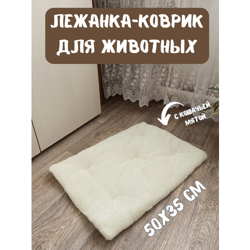 ���� �������-������ ��������� ��� ��������, 50�35 ��, ����� ��� ����� ����, ������ ������