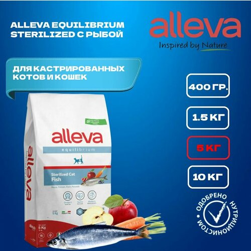          Alleva Equilibrium  , 5    -     , -  