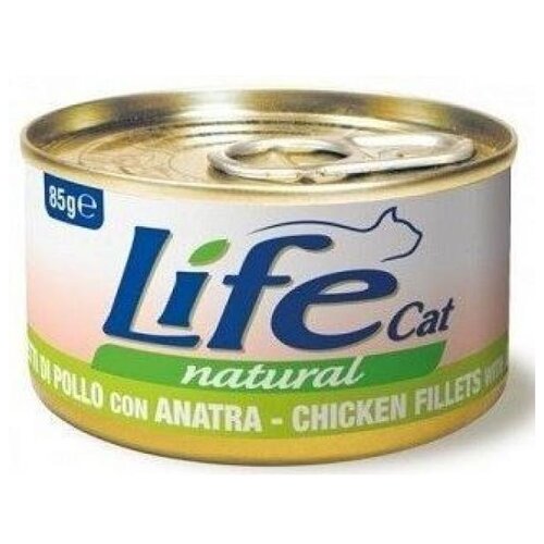  Lifecat      85 124 (2 )   -     , -,   