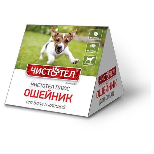 ���� �������� ������� �� ���� � ������ ���� ����� ��� ����� � �����, 65 ��, ����� 1 ��. � ��., 1 ��., ������ ������