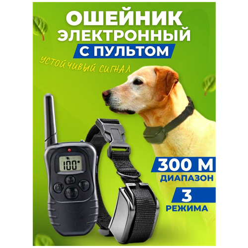 ���� ������� ������� ��� �����. ��� �����������. ����������� ������� �������, ������ ������