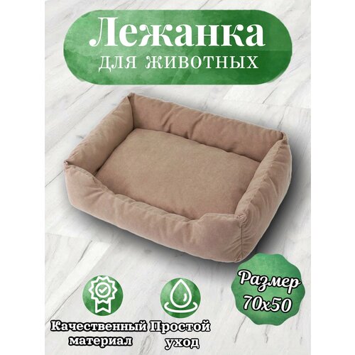 ���� ������� ��� ����� ����� ����� �������� ������ ������� ����� 70�50, ������ ������