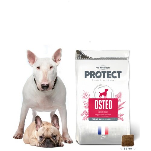      Pro-Nutrition Flatazor Protect Osteo    (2 )   -     , -  