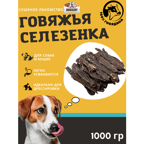  Dogsjoy    1000     