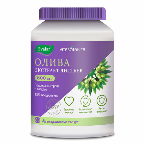 ���� ������ ������������ �����, 60 ������, ������, ������ ������