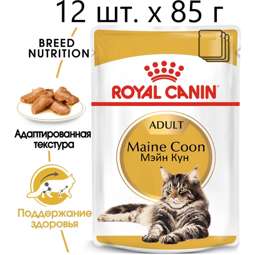      Royal Canin Maine Coon Adult,     -, 12 .  85  (  )   -     , -  