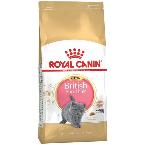    ROYAL CANIN BRITISH SHORTHAIR KITTEN         4  12  10    -     , -,   