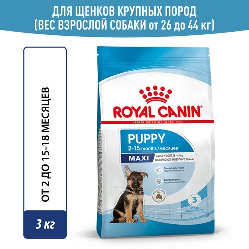    Royal Canin Maxi Puppy ( )    15  (  ), 3    -     , -  