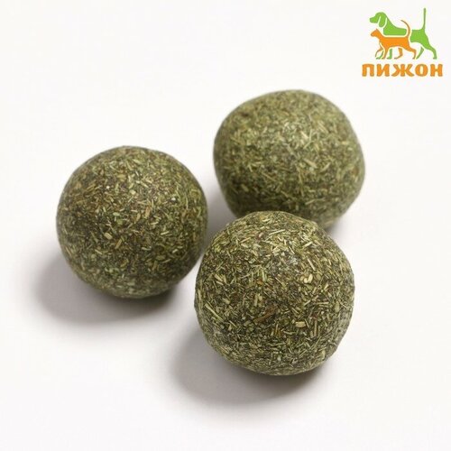 ���� ����� ����� ��� ����� �� �������� ���� 3 �� 7883159, ������ ������