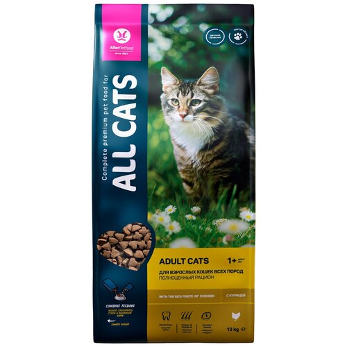  ALL CATS      (13 )   -     , -,   