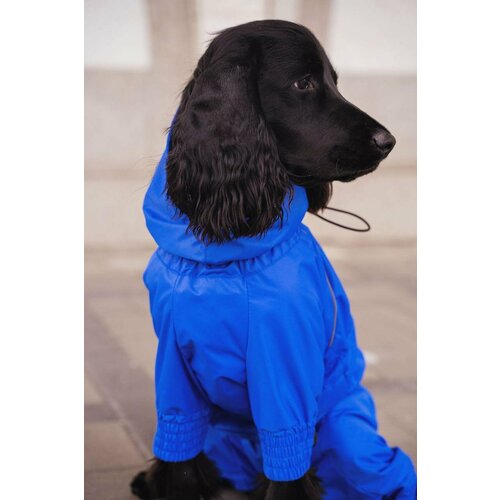 ���� �������� ��� ����� � ����������, ���� ��������-�����, ������ S33, ����� �� ������ 33��, ������ ������