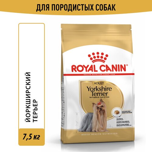      Royal Canin Yorkshire Terrier Adult (  )       10 , 7,5    -     , -  