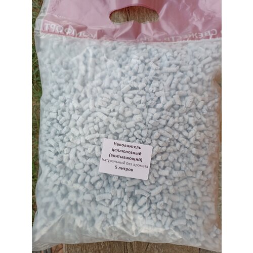 ���� ����������� ����������� ����������� 5 �. ��� �������, ������ ������