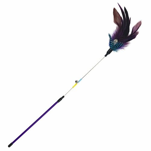 ���� ������� ��� ����� ������ - ��������� EBI 