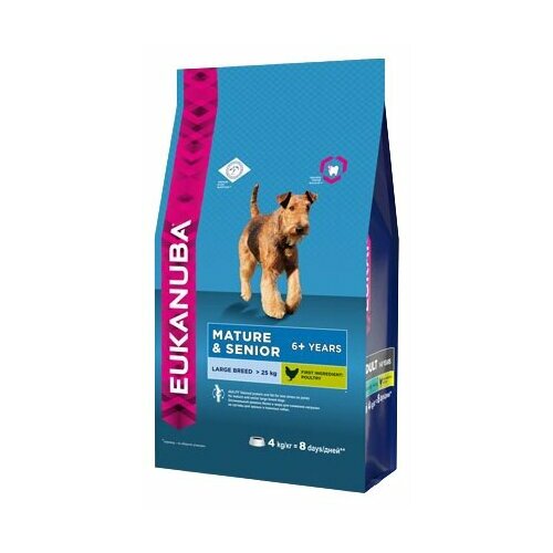       Eukanuba     ,     ,  1 .  1 .  4000  (  ),  