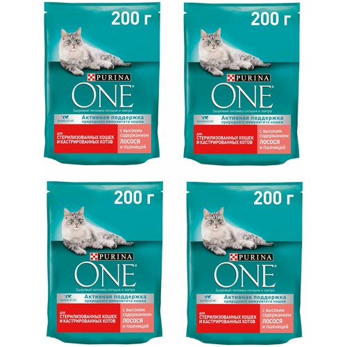    Purina ONE      ,       200   4    -     , -,   