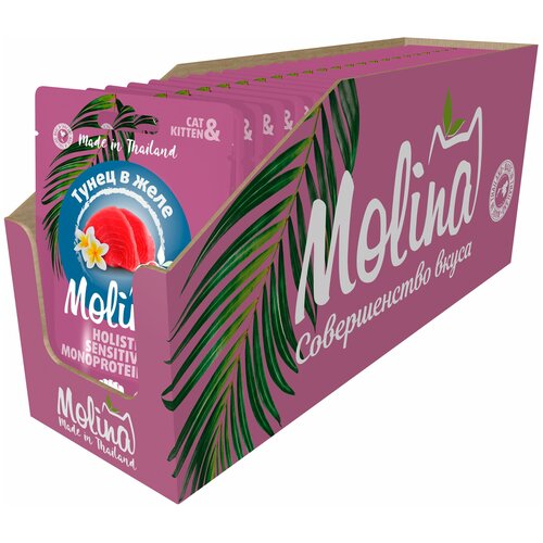    MOLINA          24   70     -     , -,   