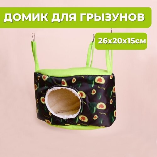 ���� ����� ��� �������� ���������, �����-������� ��� �������, ����, ����, ������� ������, ������ ������