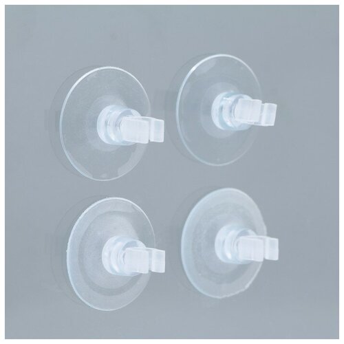 ���� ����� �������� � ����������, �����������, �4 ��, 4 ��, ������ ������