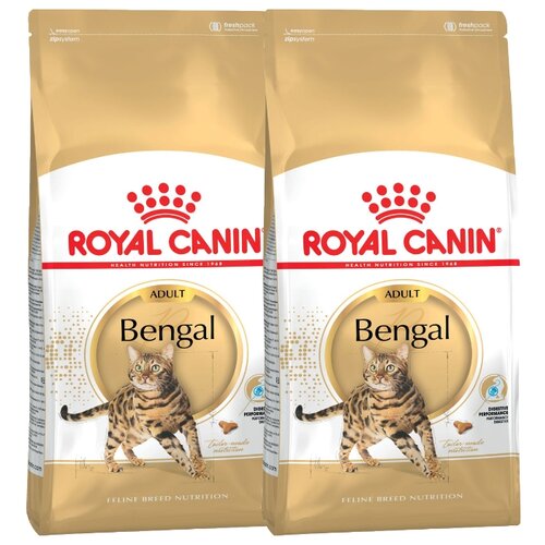      Royal Canin Bengal Adult       1   12  2 .  2000    -     , -  