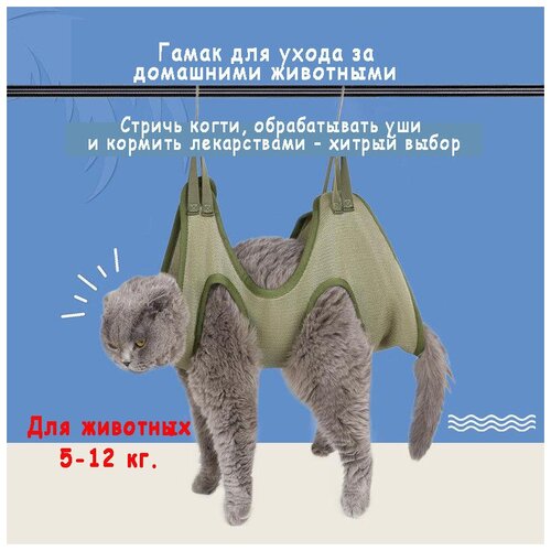 ���� ����� ��� �������� ALELKO, ����������� � ��������-���������, �������, ������ S, ������ ������