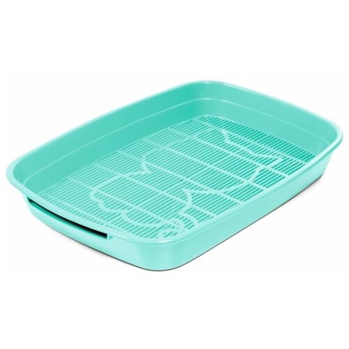 ���� �������� ������ ��� ����� ����� ��������, ������ ������