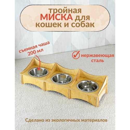 ���� �������� ��� ����� � ����� ������� � ������� ��������, ������ ������