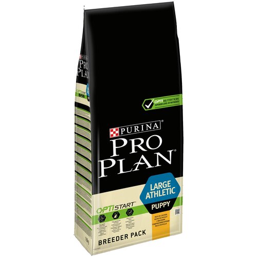    Pro Plan    ,  1 .  1 .  18000    -     , -  