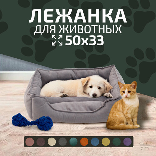 ���� ������ ������� City HD ��� ����� � �����, 50�33�13 ��, ������ L, �����, ������ ������