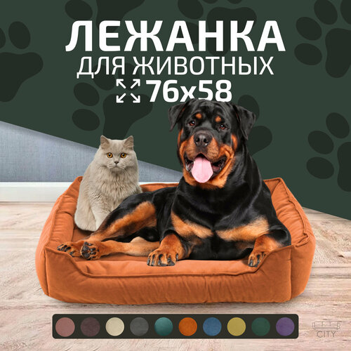 ���� ������ ������� City HD ��� ����� � �����, 76�58�15 ��, ������ XXL, ���������, ������ ������