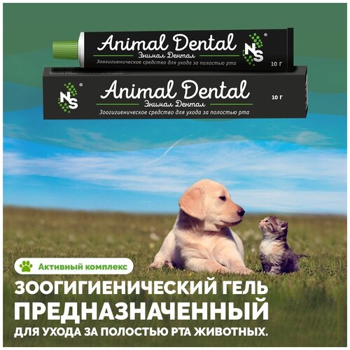  Animal Dental        