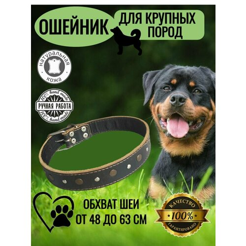 ���� ������� �� ����������� ���� � ���������� ������� ��� ������� ����� �����, �4/ ������ ��� �� 48 �� 63 ��, ����� 70 ��., ������ ������