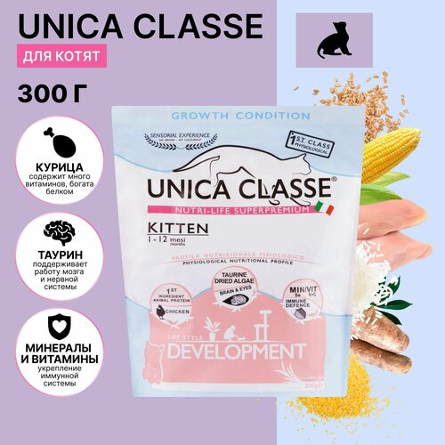        Unica Classe, . 300 .   -     , -  