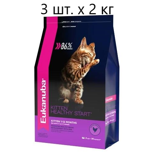      Eukanuba Kitten Healthy start,  , 3 .  400    -     , -,   