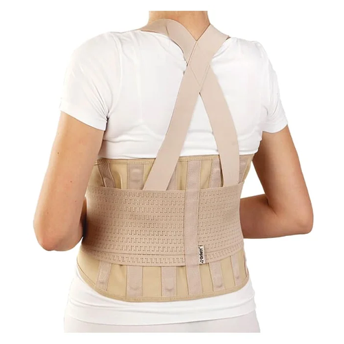 ���� ������ Orlett IBS-3006, ������ L, ���� �������������, ������ 24 ��, �������, ������ ������