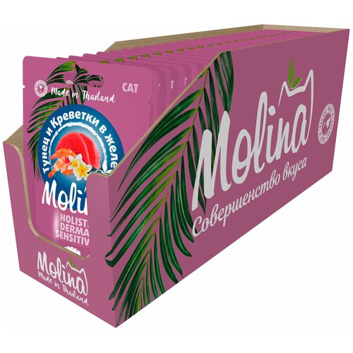  Molina         70  24   -     , -,   