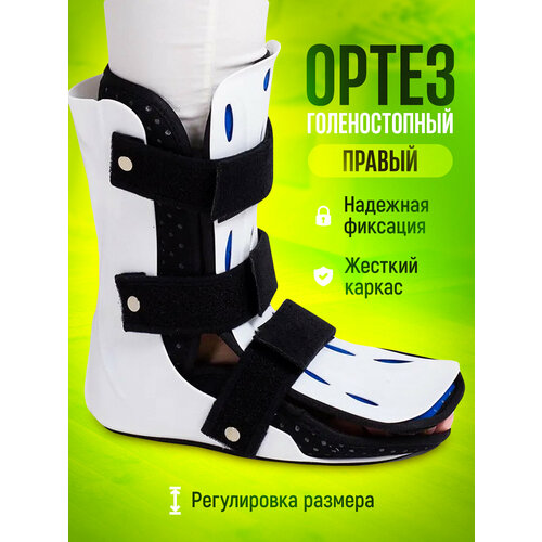 ���� ������ �������������- ����� �� ���������� ������ S, ������ ������