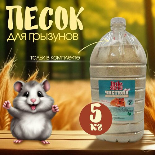 ���� ����� ��������� ��� ��������, ������� ��� ������ ������ 5 ��, ������ ������