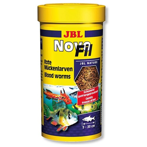     JBL NovoFil 250   -     , -,   