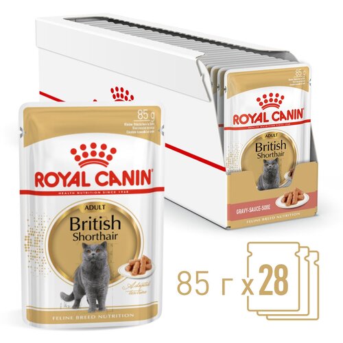     Royal Canin British Shorthair Adult (  )     , , 28x85   -     , -  