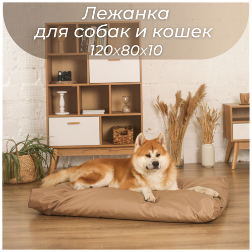 ���� ������� �������������� �� ������� ������, ��� ����� � ����� ������� �����, 120�80�10��, ������ ������